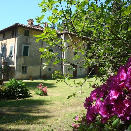 Bed & Breakfast Villa Masini-Luccetti Pietrasanta Eksteriør bilde