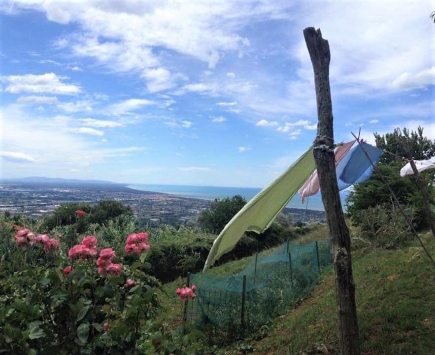 Bed & Breakfast Villa Masini-Luccetti Pietrasanta Eksteriør bilde